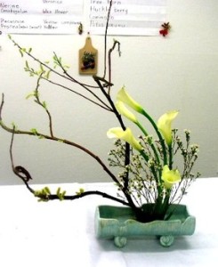 Așa e Mayumi:  flori elegante și crengi care și-au găsit drumuri noi